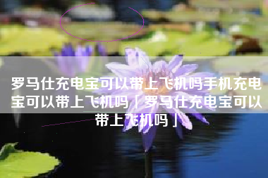 罗马仕充电宝可以带上飞机吗手机充电宝可以带上飞机吗「罗马仕充电宝可以带上飞机吗」