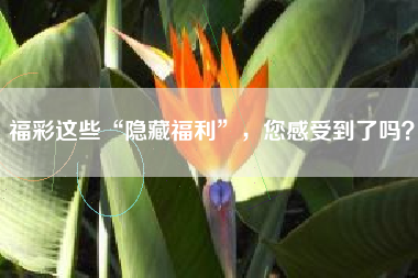 福彩这些“隐藏福利”，您感受到了吗？