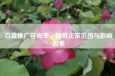 百度推广咨询率，探寻正常范围与影响因素
